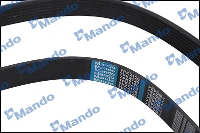 V-Ribbed Belt