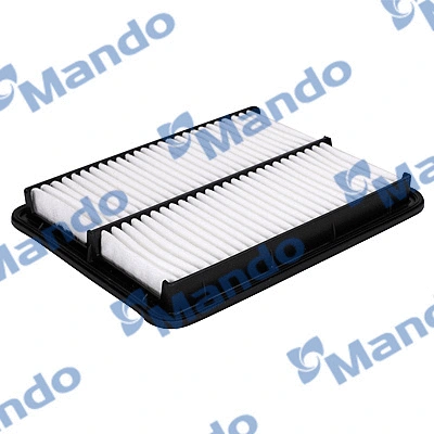Air Filter (EAF00110T)