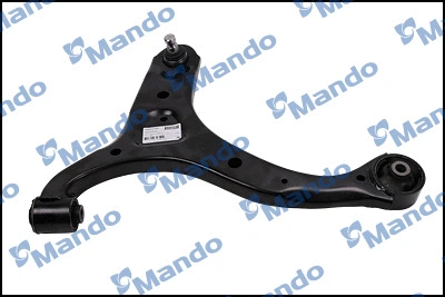 Control/Trailing Arm, wheel suspension (CAH0174D)