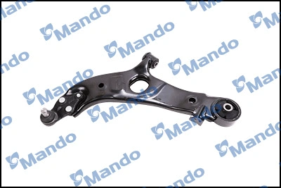 Control/Trailing Arm, wheel suspension (CAH0166D)