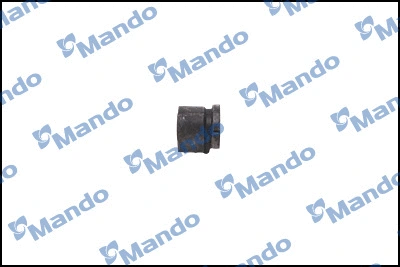 Mounting, control/trailing arm (DCC010807)