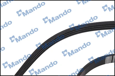 V-Ribbed Belt