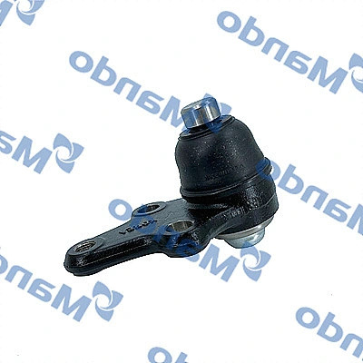 Ball Joint (DSA020064)