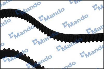 Timing Belt