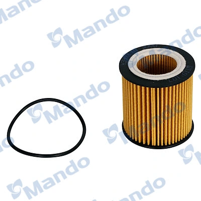 Oil Filter (EEOB0006Y)