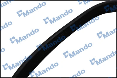 V-Ribbed Belt