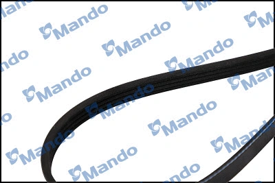 V-Ribbed Belt