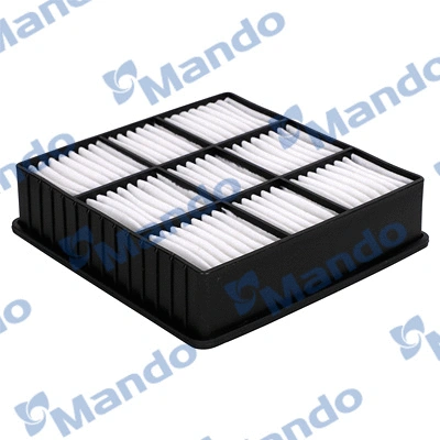 Air Filter (EAF00202T)