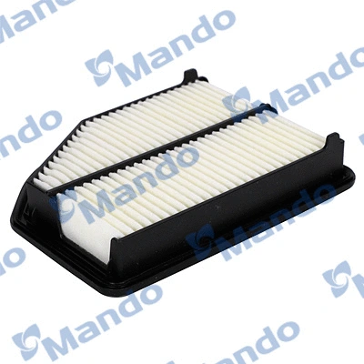 Air Filter (EAF00170T)