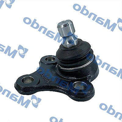 Ball Joint (DSA020088)