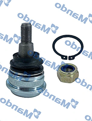 Ball Joint (DSA020145)