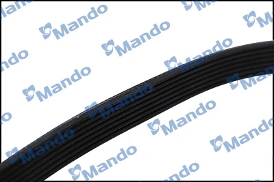 V-Ribbed Belt