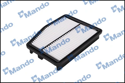 Air Filter (EAF00137T)