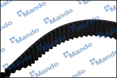 Timing Belt