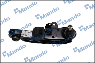 Control/Trailing Arm, wheel suspension (CAH0058D)
