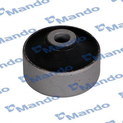 Mounting, control/trailing arm (DCC010816)
