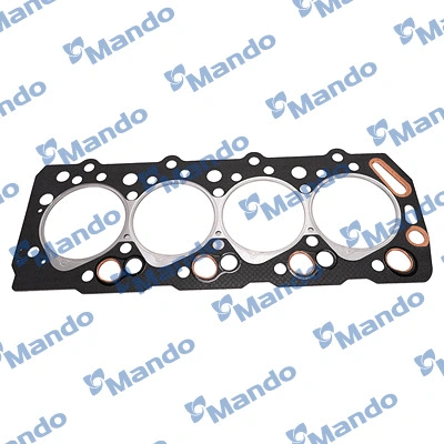 Gasket, cylinder head (EGHNH00028)