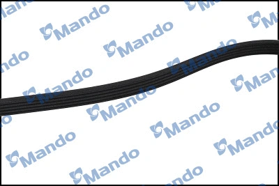V-Ribbed Belt