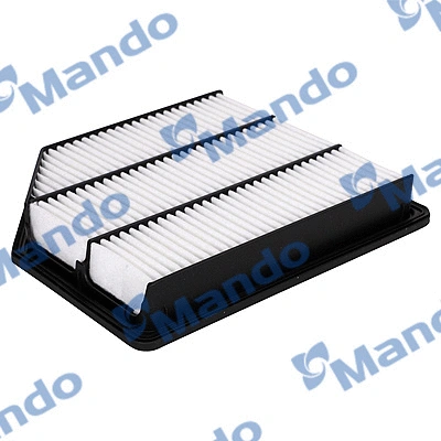 Air Filter (EAF00131T)