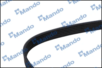 V-Ribbed Belt