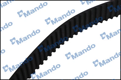 Timing Belt