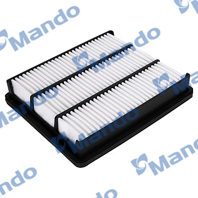 Air Filter (EAF00087M)