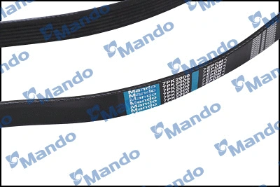 V-Ribbed Belt