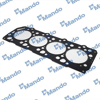 Gasket, cylinder head (DM2231142520)