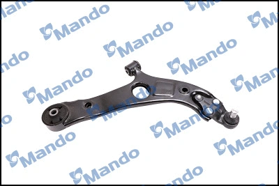 Control/Trailing Arm, wheel suspension (CAH0171D)