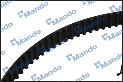 Timing Belt