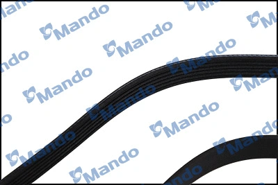 V-Ribbed Belt