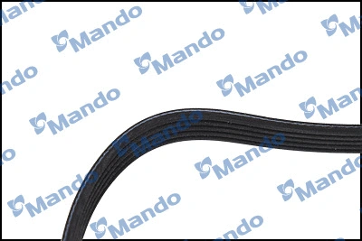 V-Ribbed Belt
