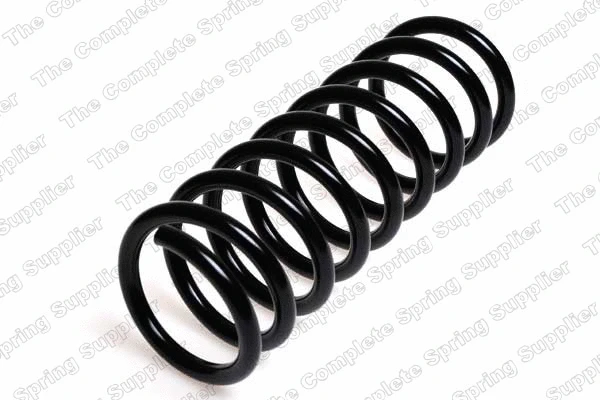 Suspension Spring (CS3846)