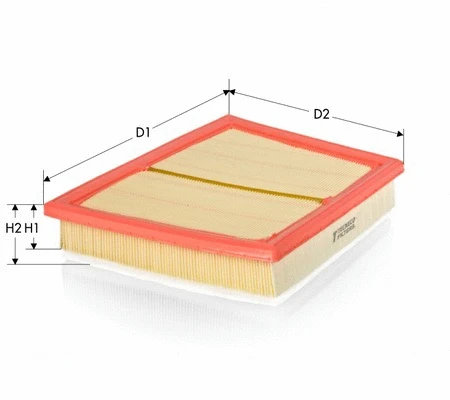 Air Filter (AR22017PMS)
