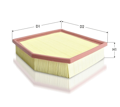 Air Filter (AR1696PM)