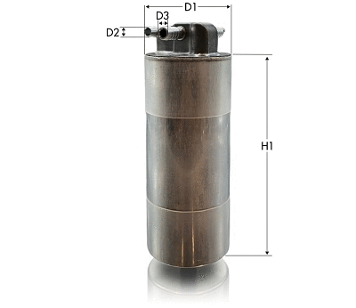 Fuel Filter (GS1224)