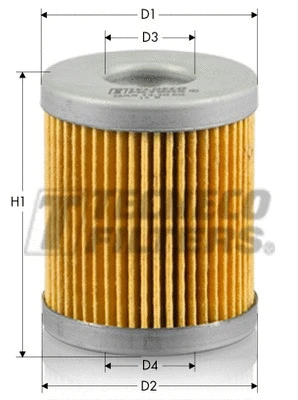 Fuel Filter (GAS13INT)