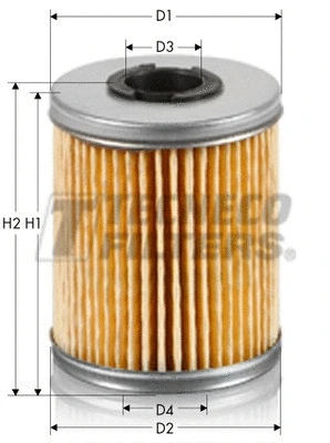 Fuel Filter (GS0104M)