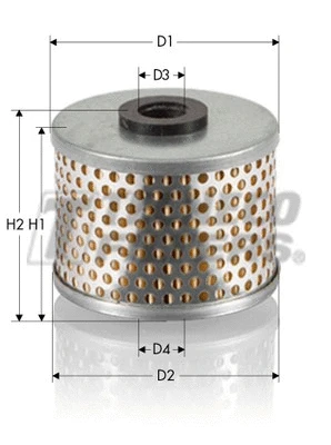 Fuel Filter (GS033)