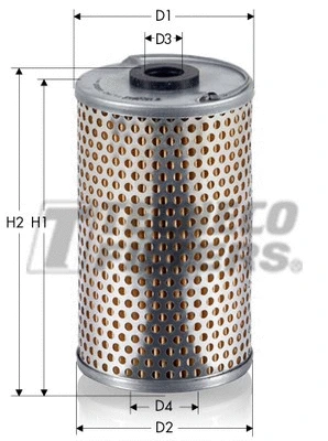 Fuel Filter (GS025)