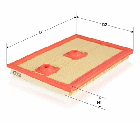 Air Filter (AR10058PM)