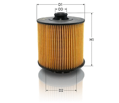 Oil Filter (OL2200E)