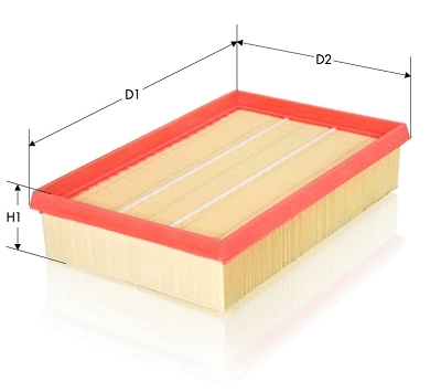 Air Filter (AR1707PM)