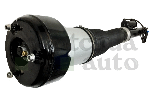 Air Suspension Strut