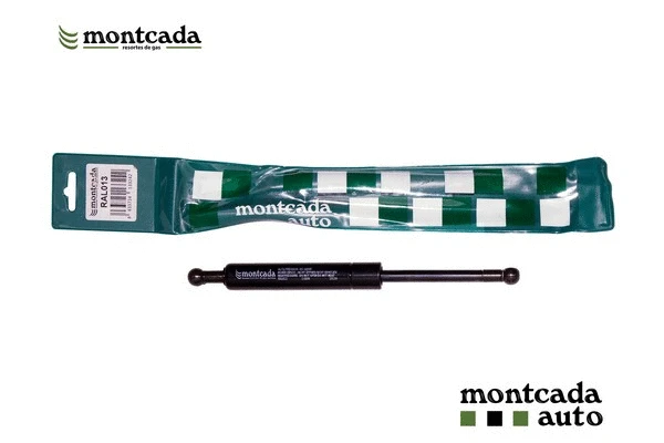 Gas Spring, boot/cargo area