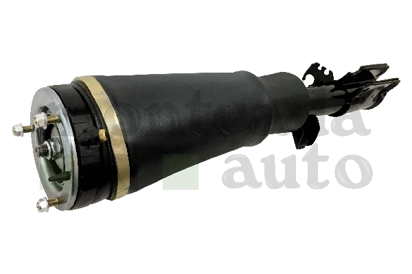Air Suspension Strut