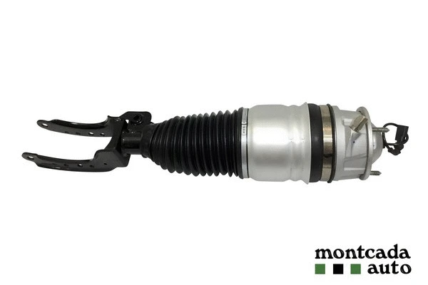 Air Suspension Strut (0296960)