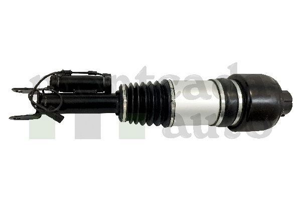 Air Suspension Strut (0296295)