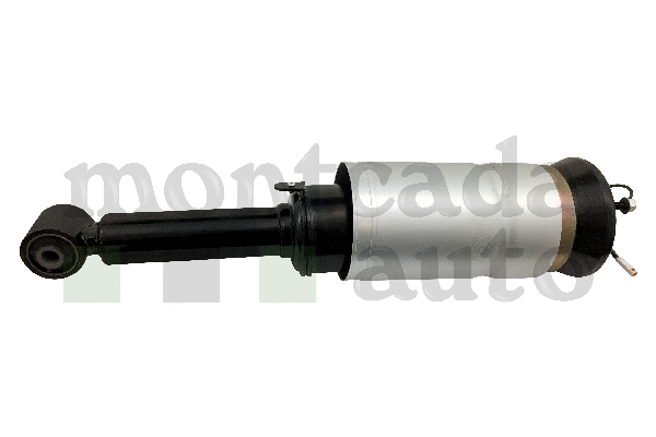 Air Suspension Strut (0296435)
