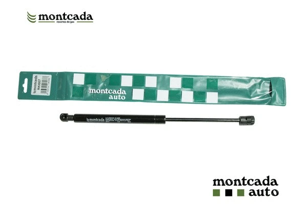 Gas Spring, boot/cargo area